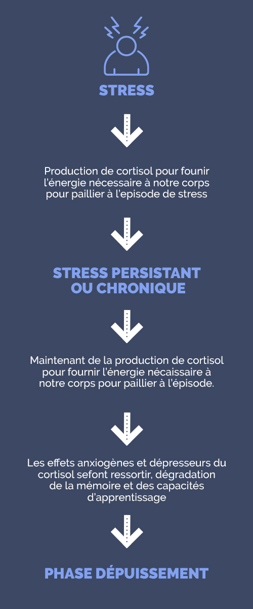 Définition et origines du stress